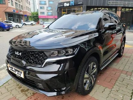 쏘렌토 베이직패키지 \