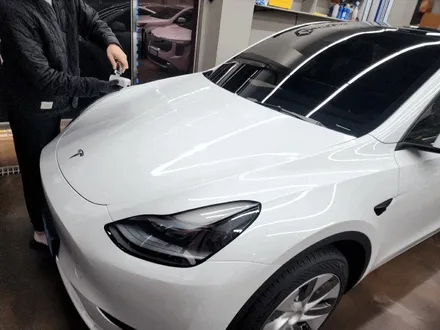김포 모델y 틴팅 버텍스900/700필름 신차패키지 테슬라썬팅전문점 카스페이스김포점 / 김포시 장기동