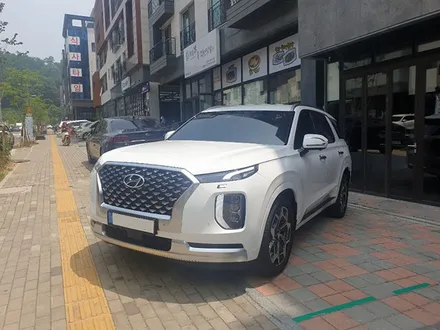 [팰리세이드] 화이트 고OO 회원님 신차패키지 후기입니다.(아마테라스HN+하부패키지+유리막코팅+QXD5000+PPF) / 서구 가정동