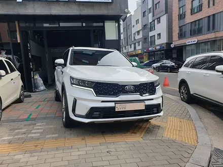 [쏘렌토MQ4] 화이트 김OO 회원님 신차패키지 후기입니다.(티나인R100+하부패키지+LX5000+유리막코팅+ppf) / 서구 가정동
