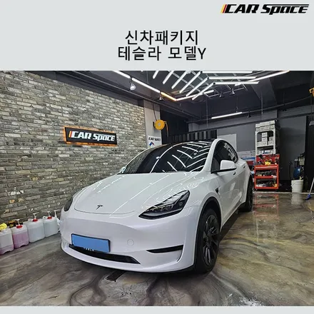 테슬라 전문시공업체 모델Y 신차검수부터 썬팅,PPF까지 한번에 / 서구 가정동