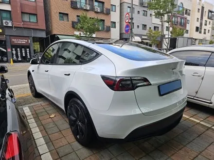모델Y 신차패키지 어디서 할지 고민된다면? / 서구 가정동