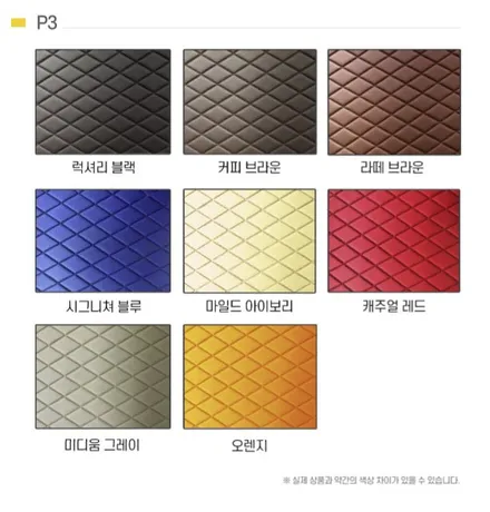 카니발 모노륨과 GSC사이드스텝 작업기 / 서구 가정동