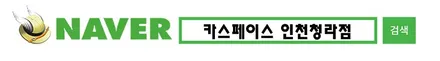 꼼꼼한 신차검수 업체는 어디? 카스페이스 인천청라점! / 서구 가정동