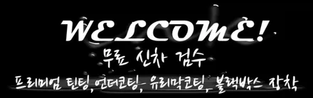 동탄신차패키지 산타페 스토미씨 박O필님 프리미엄 틴팅 언더,유리막코팅 블랙박스 / 동탄 방교동