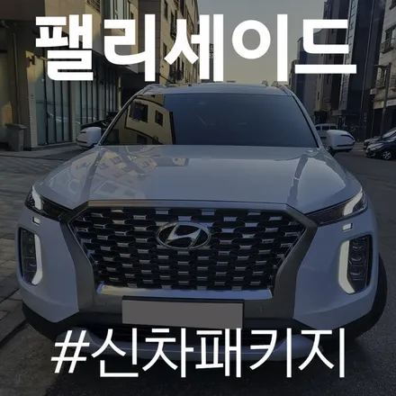 동탄 신차패키지 전문점의 레이노 S9 시공으로 깔끔해진 팰리세이드 / 동탄 방교동