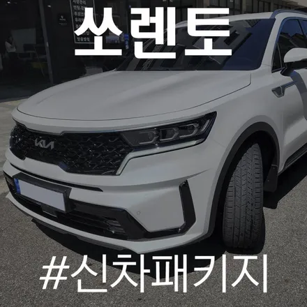 쏘렌토) 레이노 S9로 업그레이드 된 열차단 성능 / 동탄 방교동