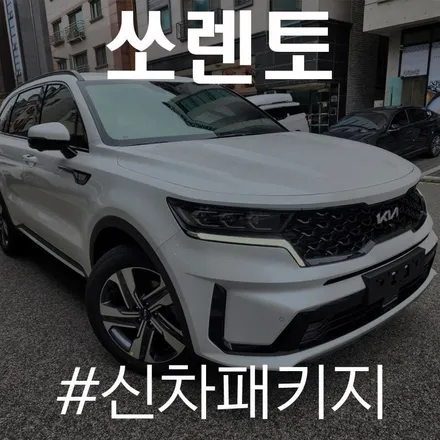 검수와 작업을 한번에! 카스페이스 동탄점에서 쏘렌토 V1 시공!! / 동탄 방교동