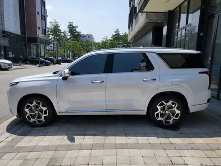 팰리세이드 반사필름 시공 모습 확인해보세요! / 동탄 방교동