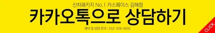 아이오닉5, 썬팅부터 신차코팅까지 카스페이스 동탄점! / 동탄 방교동