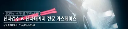 레이노 S9로 깔끔해진 팰리세이드, 동탄 신차패키지 작업과 함께! / 동탄 방교동