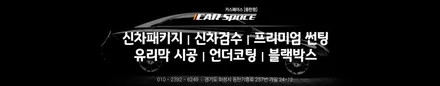 동탄 신차패키지 전문점의 레이노 S9 시공으로 깔끔해진 팰리세이드 / 동탄 방교동