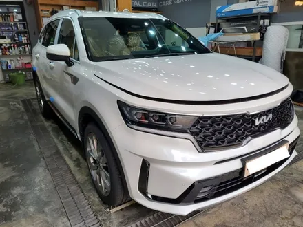 카스페이스 동탄점 전문가의 쏘렌토 신차검수기 / 동탄 방교동
