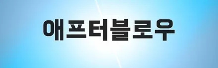 이게뭐길래? 요즘 니로에 대세라며!? / 동탄 방교동