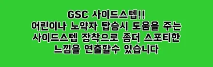 과부족 없는 팰리신차 만들기 이런것!! / 동탄 방교동