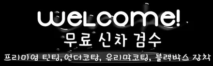 SANTA FE  TM 와일드  익스플로러 /틴팅과 블박은? / 동탄 방교동