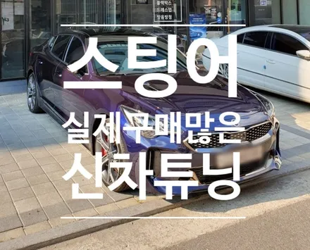 실제 구매많은 스팅어 신차튠 / 동탄 방교동
