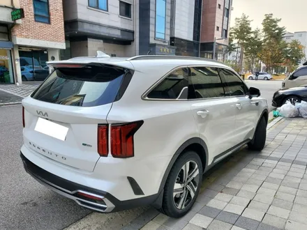 쏘렌토를 더욱 완벽하게 업그레이드해 줄 QXD 스탠다드 패키지! / 동탄 방교동