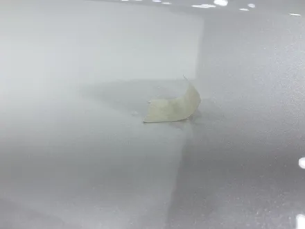 모하비 신차꾸민거 괜찮지않나요 / 동탄 방교동