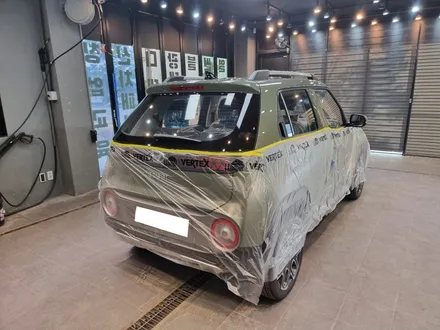 톰보이 카키 캐스퍼, 버텍스 900 + 700 완벽 그 자체 / 안성