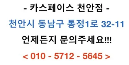 [카스페이스 천안점] 카니발 레인보우 V90 스탠다드 패키지 시공! / 천안 신방동