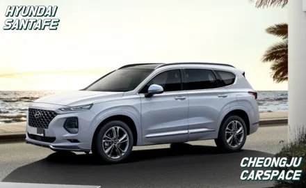 베스트셀링카도 피할 수 없는 신차검수. / 청주 율량동