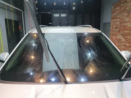 [청주카스] 시인성과 프라이버시 다 갖춘 꿀조합은?! / 청주 율량동