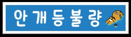 펠리세이드 신차검수 BY.청주카스페이스 / 청주 율량동