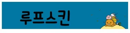 루프스킨 시공까지 / 청주 율량동