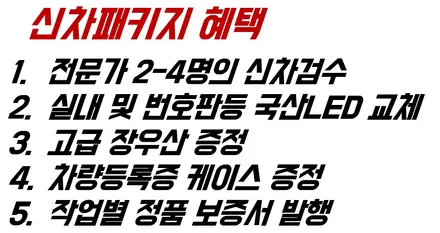 베스트셀링카도 피할 수 없는 신차검수. / 청주 율량동