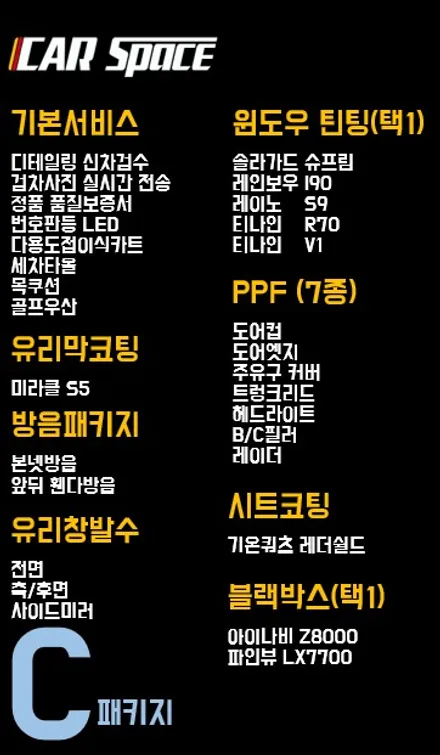 [카니발]진천에서 신차패키지를 청주까지 / 청주 율량동