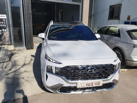[청주카스페이스]신차패키지 (버텍스 + LX7700 + PPF) / 청주 율량동