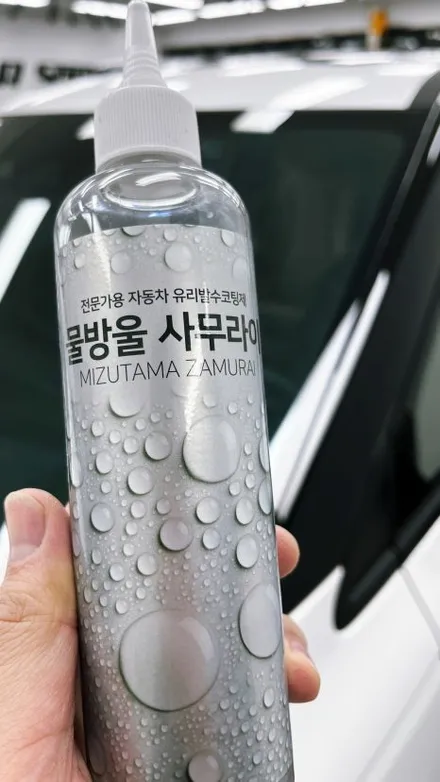 구미 신차검수~패키지까지 카니발 차주님 200% 만족! / 구미시 황상동