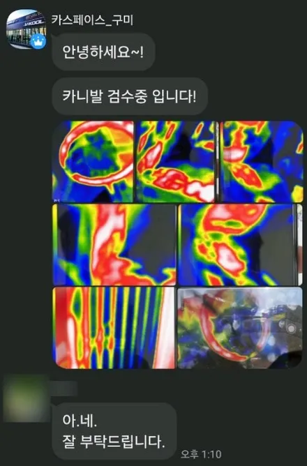구미 신차검수~패키지까지 카니발 차주님 200% 만족! / 구미시 황상동