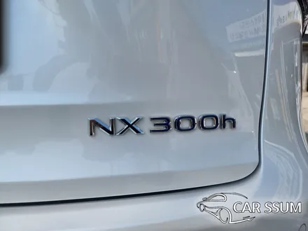 렉서스 NX300h 어라운드뷰 순정형 서라운드뷰 전문 (전라도 전주 대전 광주 수입차튜닝샵 카썸)
