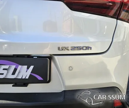 광주 렉서스 UX 250h 전용 어라운드뷰 3D 2D 360도 서라운드뷰 설치장착 튜닝 시공
