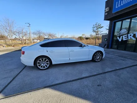 동해썬팅.스미스클럽(더스미스 벨라)아우디A5. 재시공썬팅 / 강원 동해시