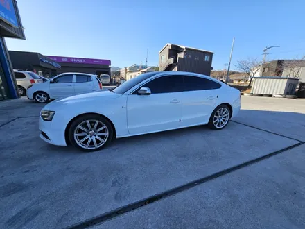 동해썬팅.스미스클럽(더스미스 벨라)아우디A5. 재시공썬팅 / 강원 동해시