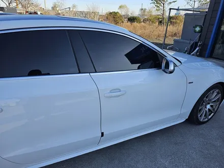 동해썬팅.스미스클럽(더스미스 벨라)아우디A5. 재시공썬팅 / 강원 동해시