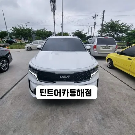 동해썬팅,삼척썬팅,기아자동차 셀토스 썬팅시공,카스토어 틴트어카 동해점, / 강원 동해시