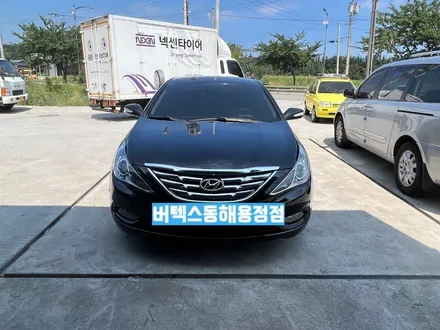 동해썬팅_쏘나타 버텍스300/재시_썬팅맛집_루마버텍스동해용정점 / 강원 동해시