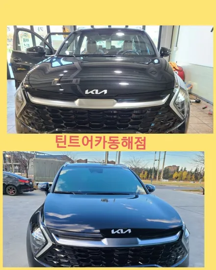 동해썬팅,삼척썬팅,기아자동차 스포티지 썬팅시공,카스토어 틴트어카 동해점, / 강원 동해시