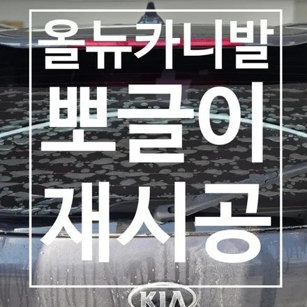 [충주 썬팅] 올뉴카니발 후면 기포 썬팅(뽀글이) 제거! 보라색으로 변한 쿠폰 필름, 레이노 모노카본으로 심폐소생술 / 충북 충주