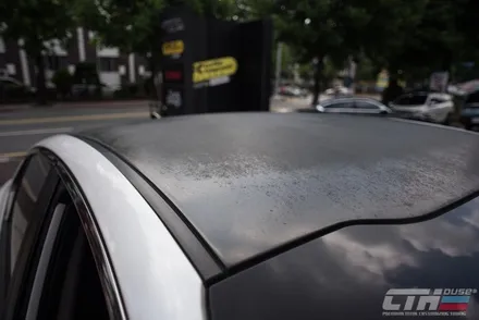 창원 루프스킨전문점 ? 잘하는 곳 ? 루프스킨은 기본입니다.