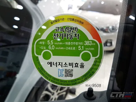 쉐보레 볼트. 넥스가드 썬팅, 모터가드 PPF 작업기.