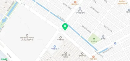레이 루프스킨 & 부분랩핑 시공기