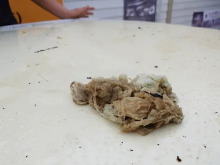 창원 대표 루프스킨. 그랜져ig 작업완료하였습니다.