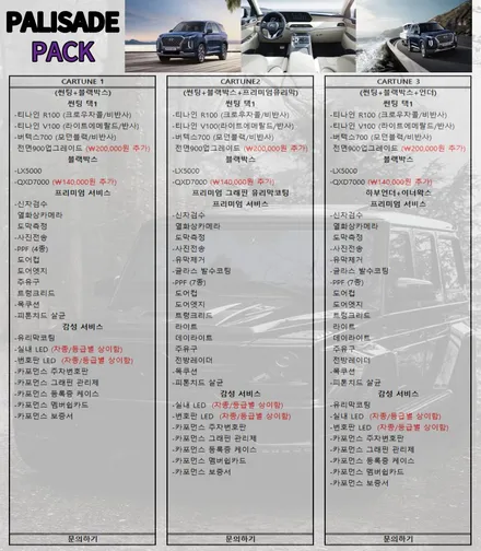 팰리세이드 신차패키지 구성 / 경기 남양주