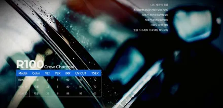 \'더뉴 팰리 티나인 R100시공기\'[도장불량] / 경기 남양주
