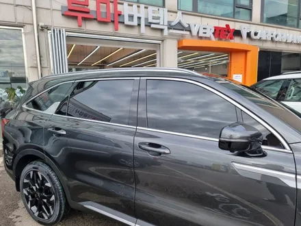 쏘렌토 블락포디 \